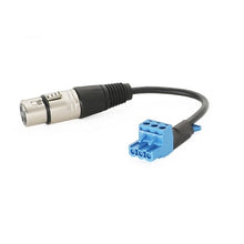 Female XLR To Amphenol Anytek 3-Pin Connector PCM-AUC-37