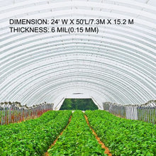 24 x 50' Ft 6 Mil Thickness Greenhouse Clear Plastic Film UV Resistant Polyethylene Film Keep Warming CG-2450-UV