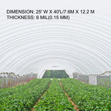 25 x 40' Ft 6 Mil Thickness Greenhouse Clear Plastic Film UV Resistant Polyethylene Film Keep Warming CG-2540-UV