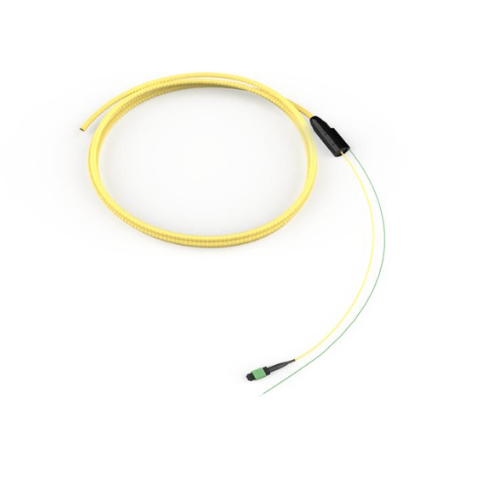 Armored Indoor Plenum cable 300 Feet OM4 12F Distribution G009012GAD0DP300F