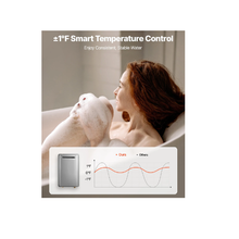 5.3 Gal 120,000 BTU Outdoor Tankless Gas Boiler With Smart Temperature Control JSW38-20L-A