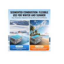 Sistema de agua caliente sin tanque de 55,000 BTU con panel blanco TM-RV03-2