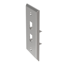 2 Port Mini-Com Stainless Steel Faceplate Flat Module CFP2SY