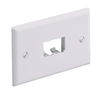 2 Port Mini-Com Classic Series Faceplate Horizontal Module ABS CFPH2IW