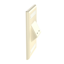 2 Port Mini-Com Classic Series Vertical Sloped Faceplate ABS Label Pocket CFPSL2EIY