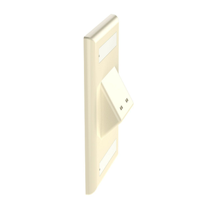 2 Port Mini-Com Classic Series Vertical Sloped Faceplate ABS Label Pocket CFPSL2EIY