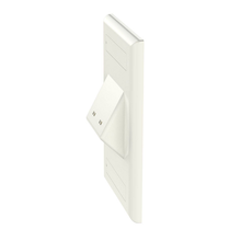 2 Port Mini-Com Classic Series Vertical Sloped Faceplate ABS Label Pocket CFPSL2WHY