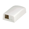 2 Port Mini-Com Surface Mount Boxe Elongated ABS CBX2IW-AY