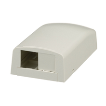 2 Port Mini-Com Surface Mount Boxe Elongated ABS CBX2IW-AY
