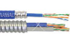 Superior Essex Cable CAT 6 4 Pair 1 Component With Outer Jacket Interlock Armored Premises Copper CMR Cable Purple L4-199-X7