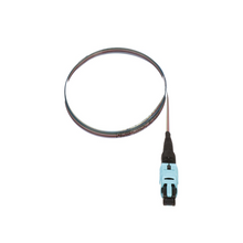 Pigtail Ribbon Assembly PanMPO FZTCN7NNNONM001