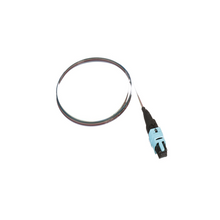 Pigtail Ribbon Assembly PanMPO FZTCN7NNNONM001