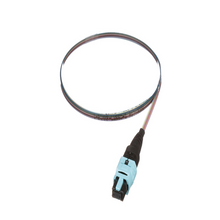 Pigtail Ribbon Assembly PanMPO FZTCN7NNNONM001