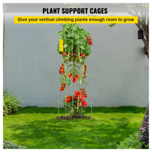support cage