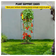 support cage