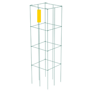 tomato tower