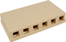 6-Port Ivory No Jack Universal Surface Mount Box 039-364IV (Pack of 50)
