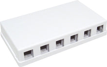 6-Port White No Jack Universal Surface Mount Box 039-365WH (Pack of 50)