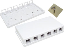 6-Port White No Jack Universal Surface Mount Box 039-365WH (Pack of 50)