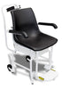 Digital Portable Chair Scale Detecto 6475K