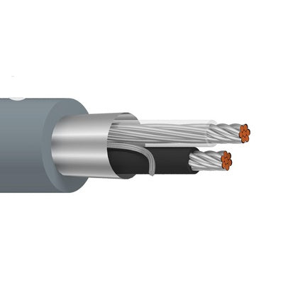 Belden 9461 22 AWG 1 Pair TC Overall Beldfoil Shield CM Low Voltage Digital Control Cable