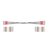 Igus LWL9040077 12Fiber Connector AB-ST incl. Conversion LC 62.5μm Multimode Gradient Glass Harnessed CFLG.G Optic Cable
