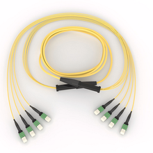 EDGE MTP Trunk 36F, Bend-Improved Single-Mode (OS2),100 ft