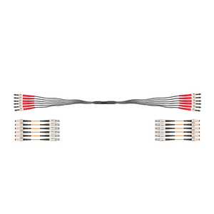 Igus LWL9040047 6Fiber Connector AB-ST incl. Conversion LC 62.5μm Multimode Gradient Glass Harnessed CFLG.G Optic Cable