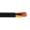 LS E2BEA-161B25CB00 16 AWG 25C Stranded Bare Copper Unshielded PVC Series E2BEA 600V Control Type TC-ER Cable