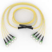 EDGE MTP Trunk 36F, Bend-Improved Single-Mode (OS2),100 ft
