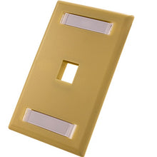 1-Port Wall Plate With ID Window (Pack of 50)