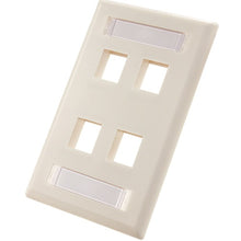 4-Port Wall Plate With ID Window (Pack of 50)