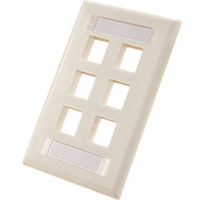 6-Port Wall Plate With ID Window (Pack of 50)