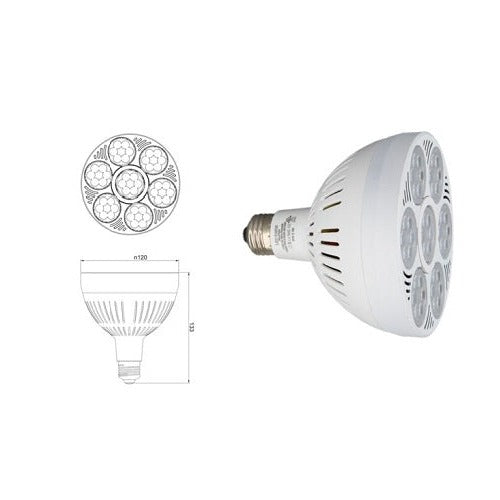 High-output Led Par Lamps E26 55W 65K 100-277V 25D UL Listed