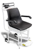 Weighbeam Chair Scale Detecto 4751