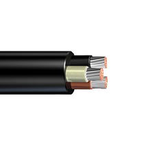 2 Cores 240 mm² W/ Earth BU P17 0.6/1KV Stranded TAC Fire Resistant Mica Glass Tape Cable
