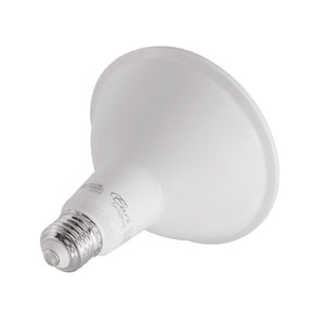 12W 120V 5000K LED Light PAR38 Bulb Dimmable EP38-5050cecw-2