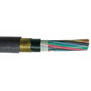 TP16(OS)LSELB-2 16 AWG 2 Pair IEEE 1580 Type Signal Cable Bronze Armored 300V