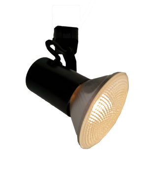 ﻿Aeralux Traditional Line Voltage 75-Watts Halo Mounting Black Par30 Lamp Holder Track Light