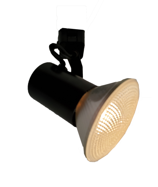 ﻿Aeralux Traditional Line Voltage 75-Watts Lightolier Mounting White Par30 Lamp Holder Track Light