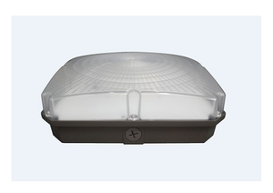 40W 5000K CCT 4973 Lumens LED Canopy Light (Pack Of 6)