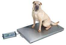 Digital Weighing for All Size Animals for Veterinary Scale Detecto VET-330WH