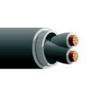 12 AWG 2C 19 Stranded Unshielded M27500 SPC Braid Irradiated XLETFE Dual Pass 200C 600V Aerospace Cable